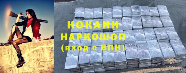 дживик Богданович